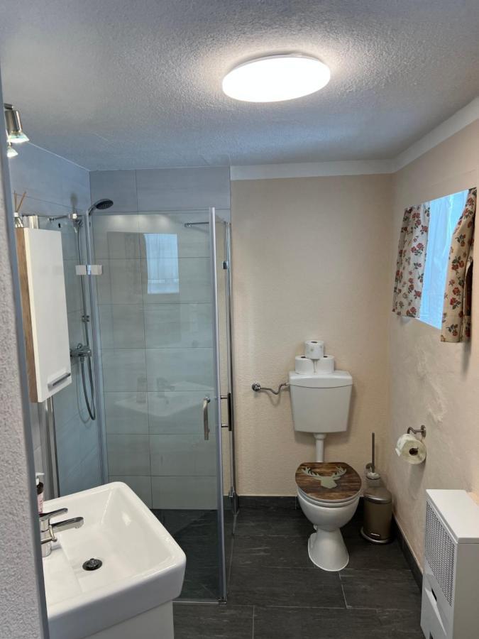 Kleine Ahornau Villa Schladming Eksteriør bilde